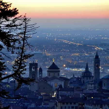 Arli Business And Wellness