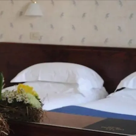 Arli Business And Wellness 3*