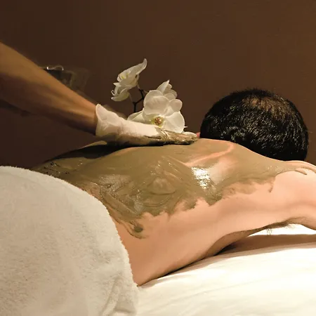 Arli Business And Wellness Bergamo