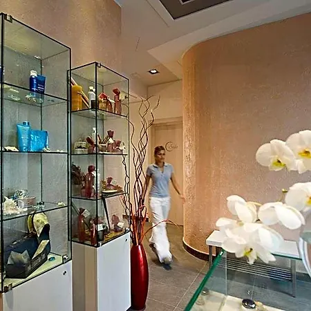 Arli Business And Wellness Hotel
