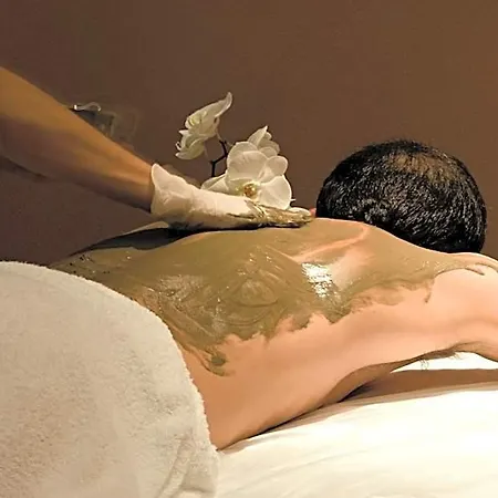 Arli Business And Wellness 3*