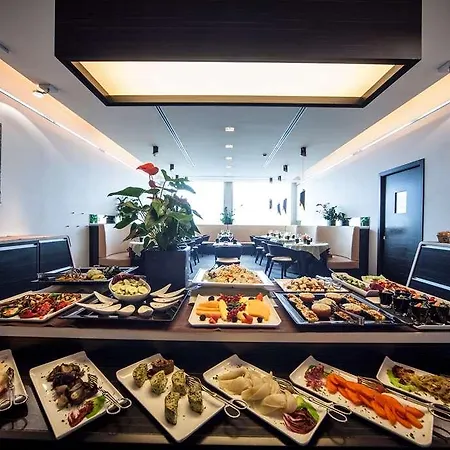 Arli Business And Wellness Otel 3*