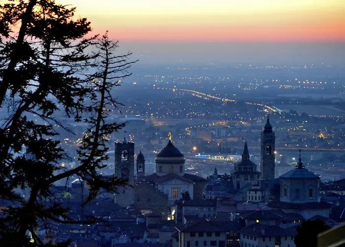 Arli Business And Wellness