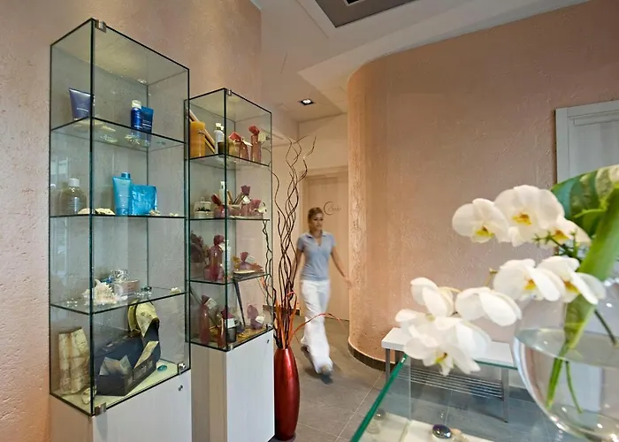 Arli Business And Wellness מלון