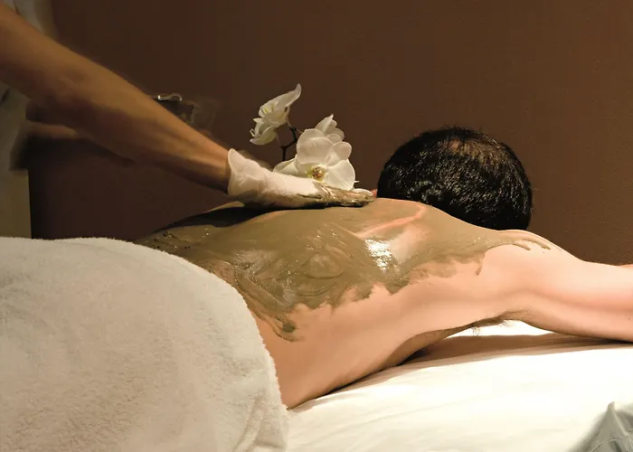 Arli Business And Wellness Бергамо