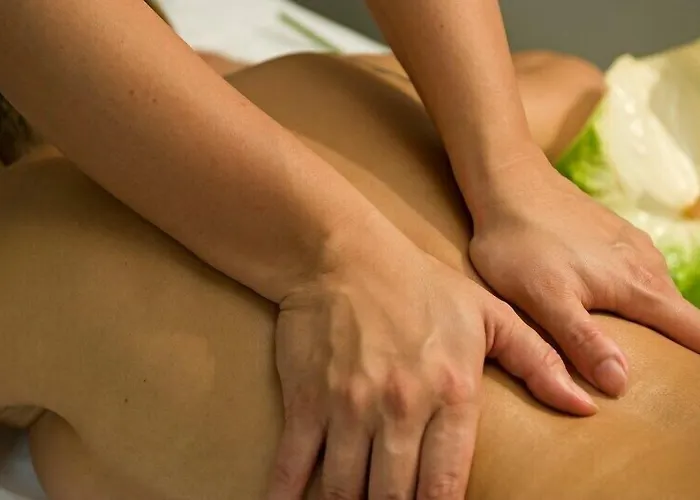 Arli Business And Wellness 3*